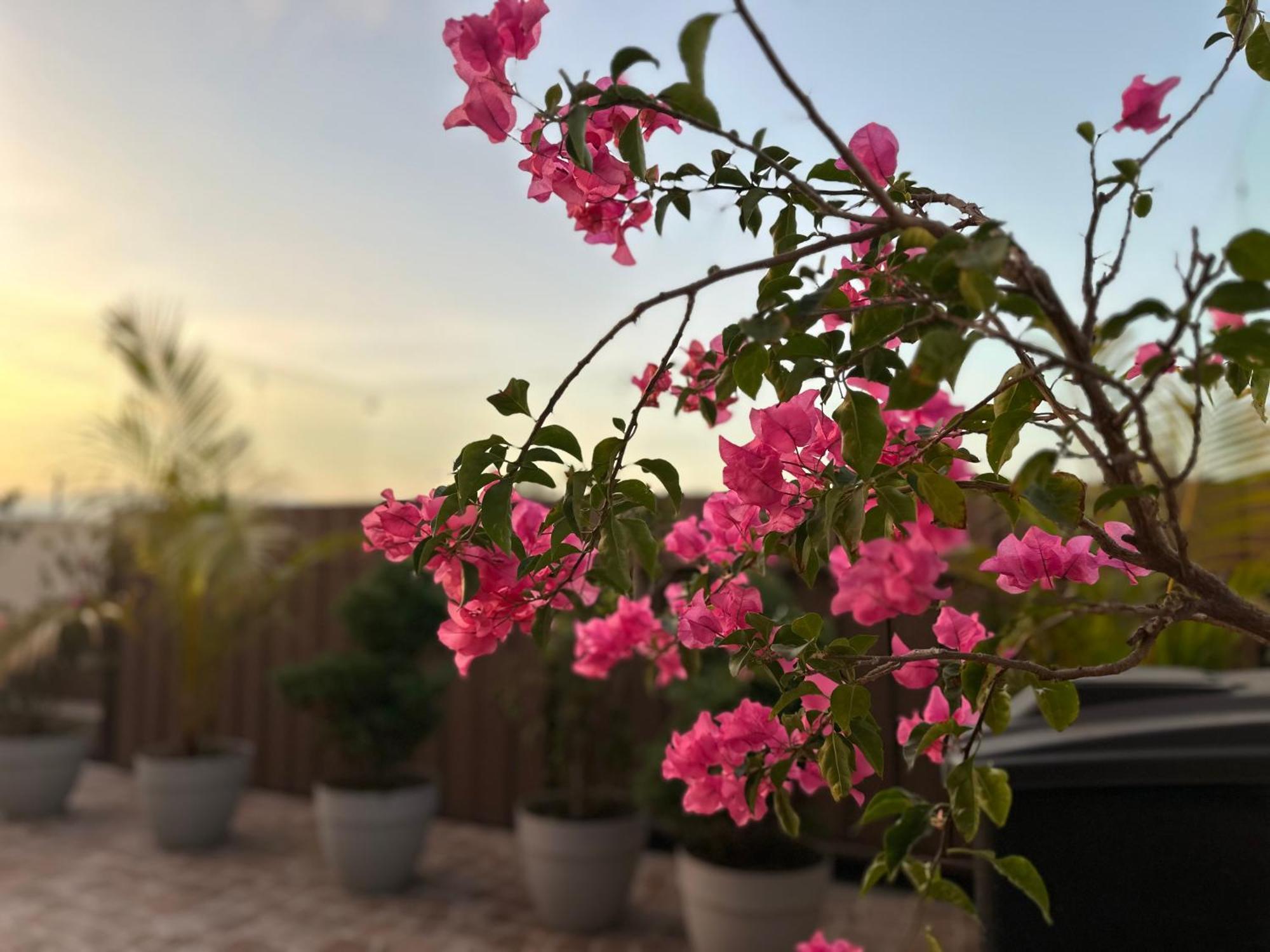 Sky Garden Ξενοδοχείο Γουατεμάλα Εξωτερικό φωτογραφία