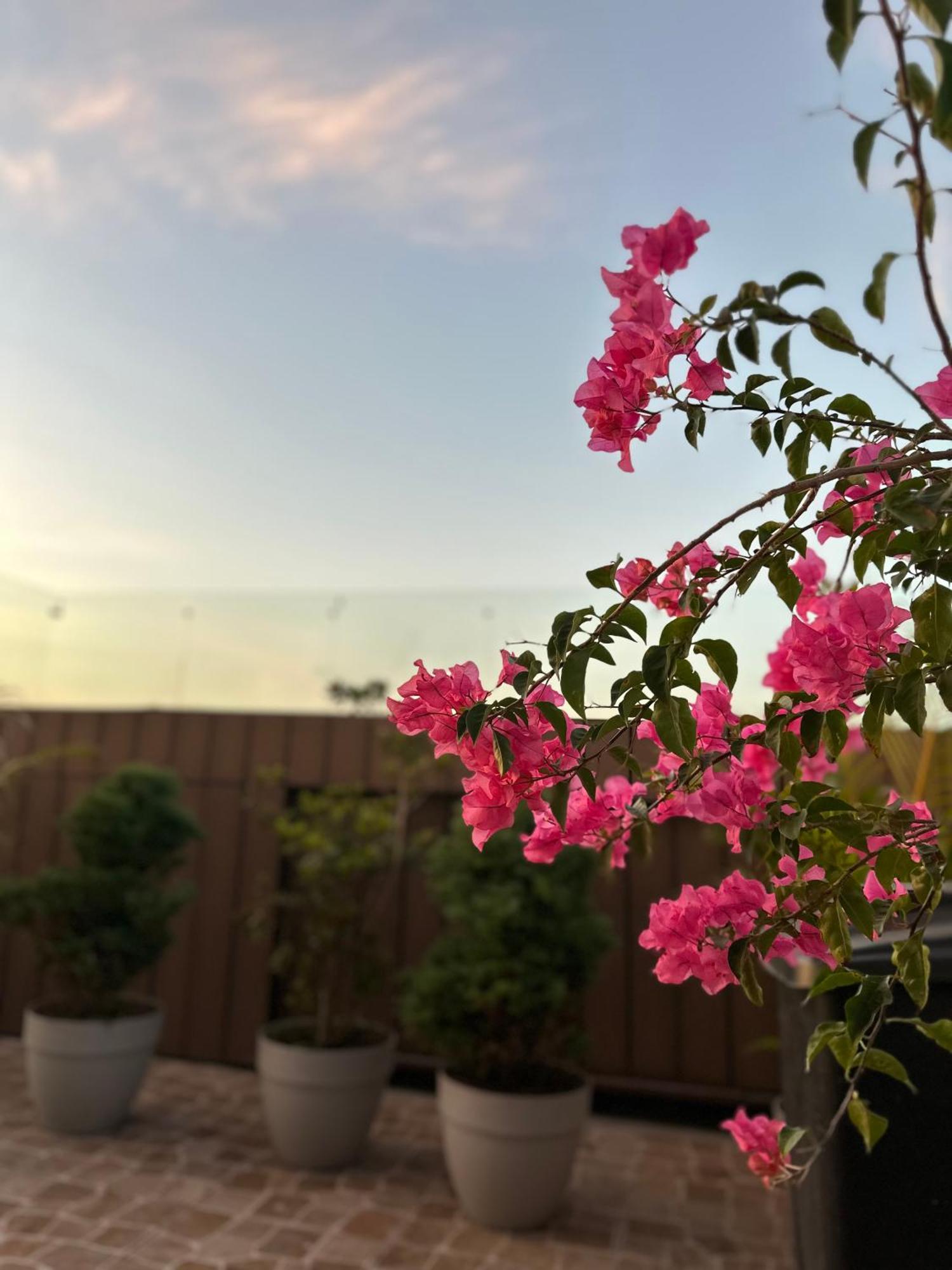 Sky Garden Ξενοδοχείο Γουατεμάλα Εξωτερικό φωτογραφία